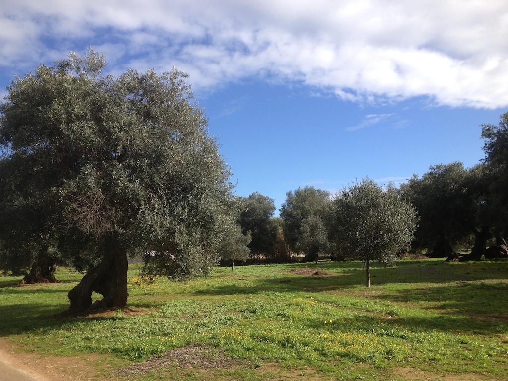 B&B Le Vele Maruggio Exterior photo